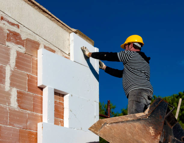 Best Spray Foam Insulation in Buckeystown, MD