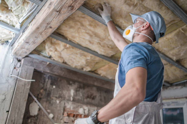 Types of Insulation We Offer in Buckeystown, MD