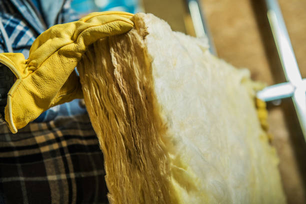 Best Residential Insulation in Buckeystown, MD