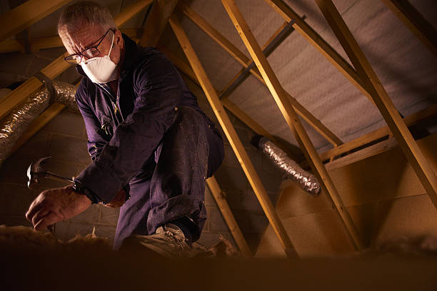 Professional Insulation Contractor in Buckeystown, MD