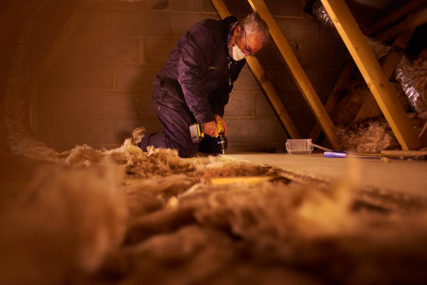 Best Cellulose Insulation in Buckeystown, MD